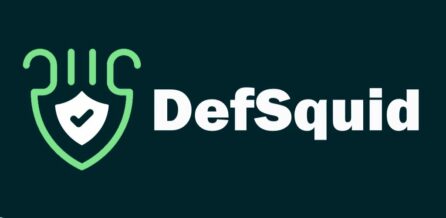 DefSquid - What is it and How to Use it